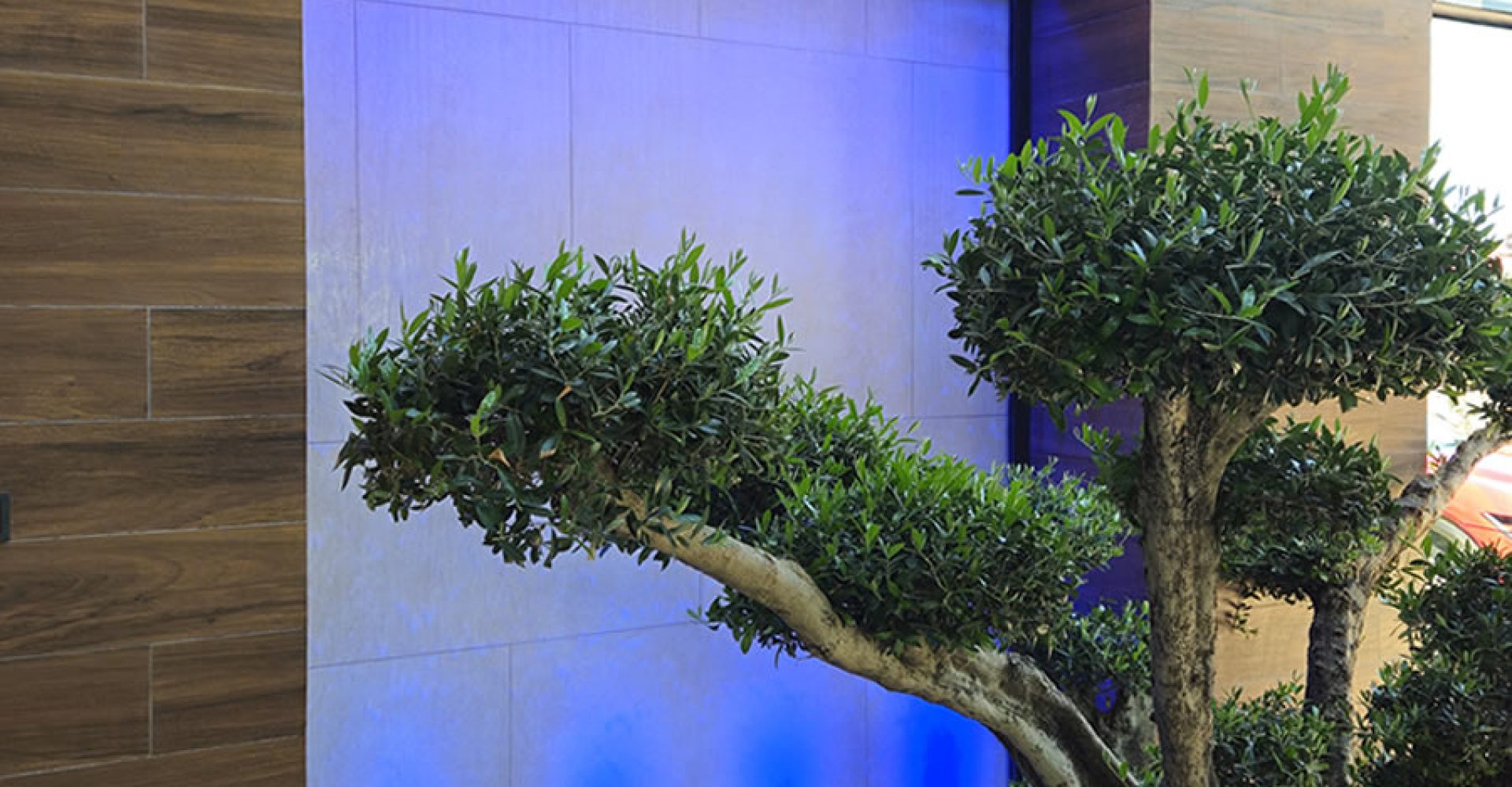 fantana-perete-de-apa-ceramica-galerie